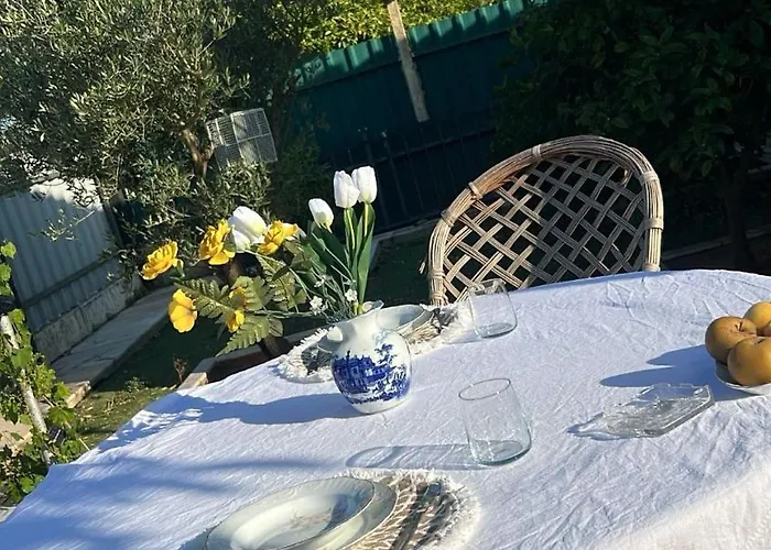 Escapadinhas * 세심브라