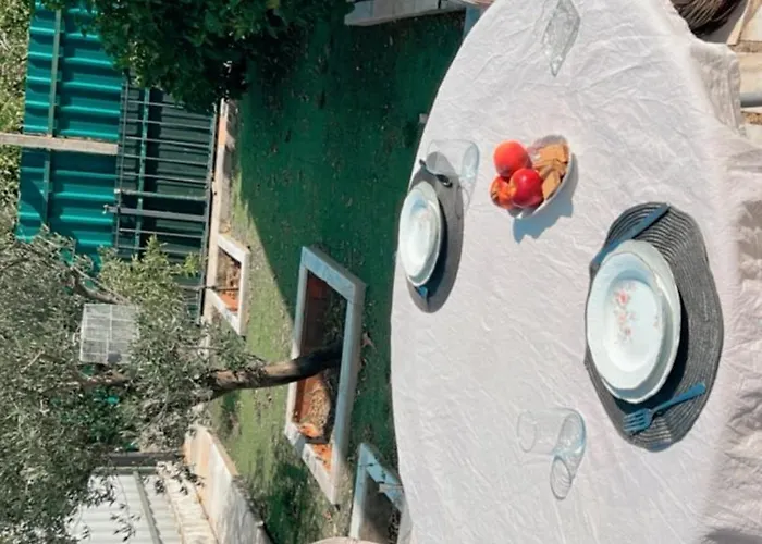 Escapadinhas 세심브라